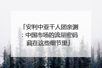 安利中亚千人团亲测：中国市场的流量密码 藏在这些细节里