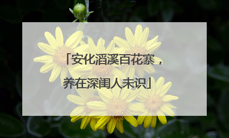 安化滔溪百花寨，养在深闺人未识