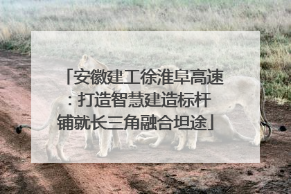 安徽建工徐淮阜高速：打造智慧建造标杆 铺就长三角融合坦途