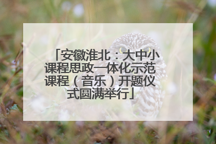 安徽淮北：大中小课程思政一体化示范课程（音乐）开题仪式圆满举行