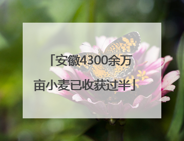 安徽4300余万亩小麦已收获过半