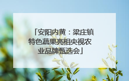 安阳内黄：梁庄镇特色蔬果亮相央视农业品牌甄选会