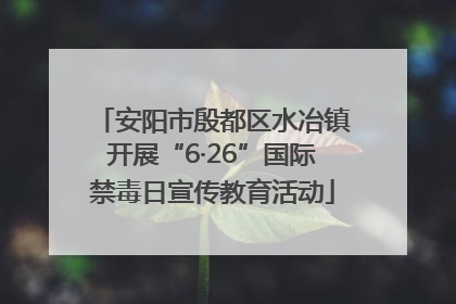 安阳市殷都区水冶镇开展“6·26”国际禁毒日宣传教育活动