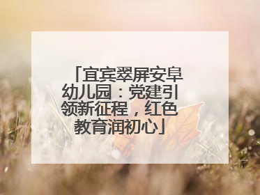 宜宾翠屏安阜幼儿园：党建引领新征程，红色教育润初心