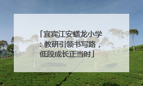 宜宾江安蟠龙小学：教研引领书写路，低段成长正当时