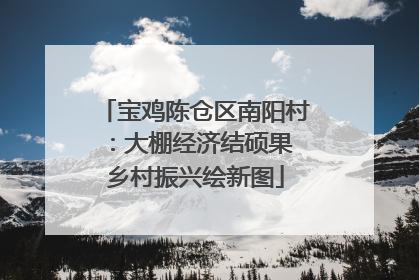 宝鸡陈仓区南阳村：大棚经济结硕果 乡村振兴绘新图