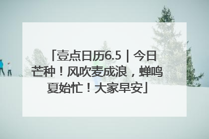 壹点日历6.5｜今日芒种！风吹麦成浪，蝉鸣夏始忙！大家早安