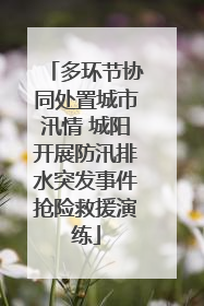 多环节协同处置城市汛情 城阳开展防汛排水突发事件抢险救援演练