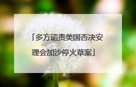 多方谴责美国否决安理会加沙停火草案