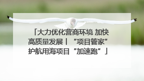 大力优化营商环境 加快高质量发展丨“项目管家”护航用海项目“加速跑”