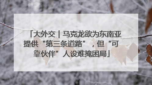 大外交｜马克龙欲为东南亚提供“第三条道路”，但“可靠伙伴”人设难掩困局