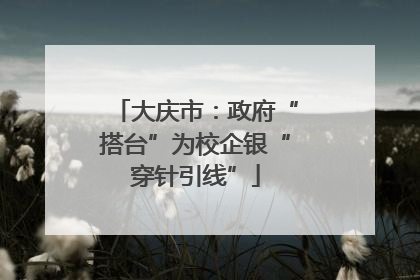 大庆市：政府“搭台”为校企银“穿针引线”