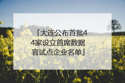 大连公布首批44家设立首席数据官试点企业名单