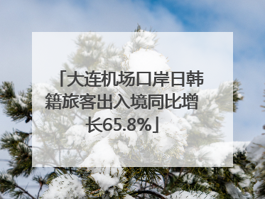 大连机场口岸日韩籍旅客出入境同比增长65.8%