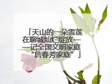天山的一朵雪莲在聊城灿烂绽放——记全国文明家庭“詹春芳家庭”