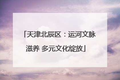 天津北辰区：运河文脉滋养 多元文化绽放