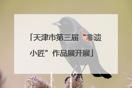 天津市第三届“非遗小匠”作品展开展