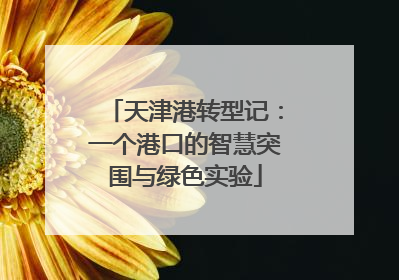 天津港转型记：一个港口的智慧突围与绿色实验
