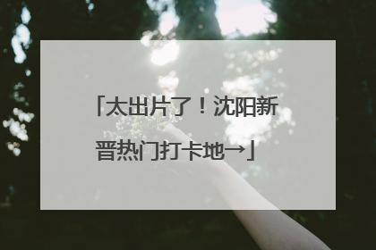 太出片了！沈阳新晋热门打卡地→