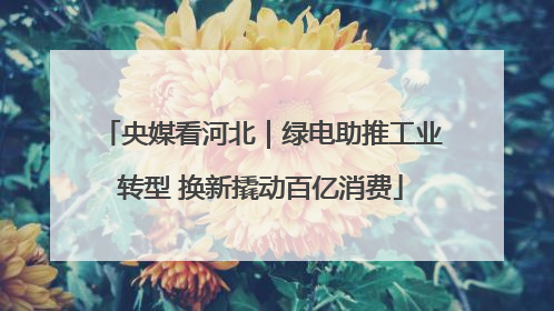 央媒看河北｜绿电助推工业转型 换新撬动百亿消费