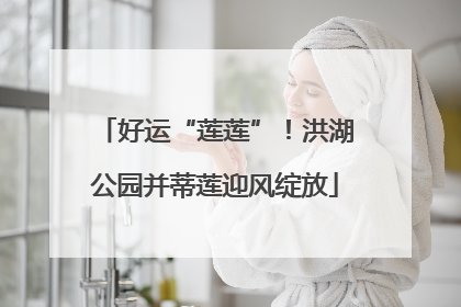 好运“莲莲”！洪湖公园并蒂莲迎风绽放