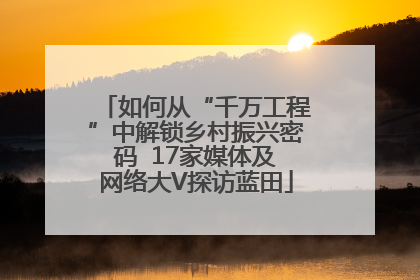 如何从“千万工程”中解锁乡村振兴密码  17家媒体及网络大V探访蓝田