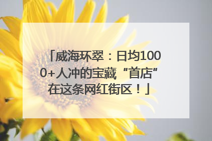威海环翠：日均1000+人冲的宝藏“首店”在这条网红街区！
