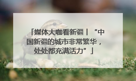 媒体大咖看新疆丨“中国新疆的城市非常繁华，处处都充满活力”