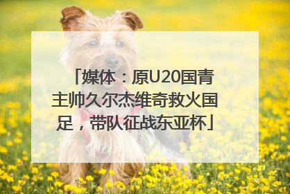 媒体：原U20国青主帅久尔杰维奇救火国足，带队征战东亚杯