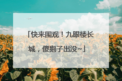 快来围观！九眼楼长城，傻狍子出没~