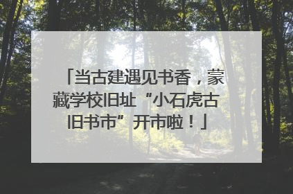 当古建遇见书香，蒙藏学校旧址“小石虎古旧书市”开市啦！