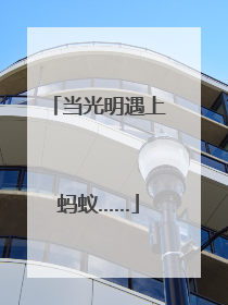 当光明遇上蚂蚁……