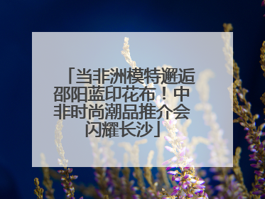当非洲模特邂逅邵阳蓝印花布！中非时尚潮品推介会闪耀长沙