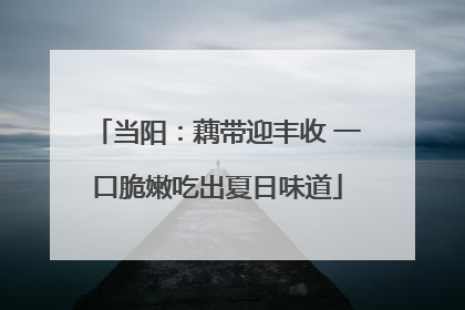 当阳：藕带迎丰收 一口脆嫩吃出夏日味道