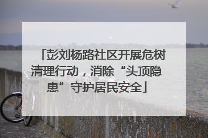 彭刘杨路社区开展危树清理行动，消除“头顶隐患”守护居民安全