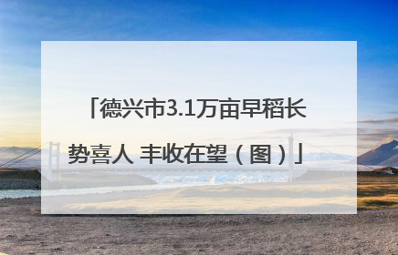 德兴市3.1万亩早稻长势喜人 丰收在望（图）