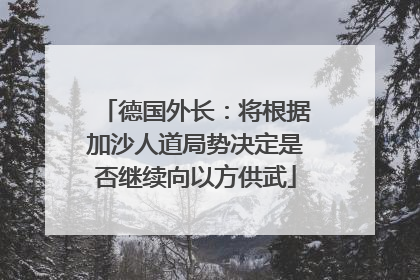 德国外长：将根据加沙人道局势决定是否继续向以方供武