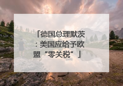 德国总理默茨：美国应给予欧盟“零关税”