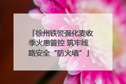 徐州铁警强化麦收季火患管控 筑牢线路安全“防火墙”