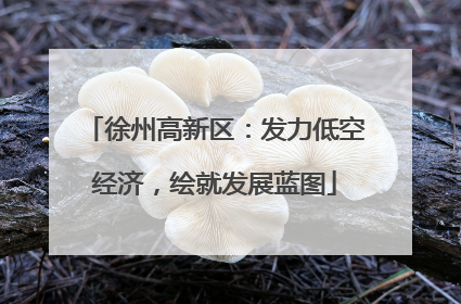 徐州高新区：发力低空经济，绘就发展蓝图