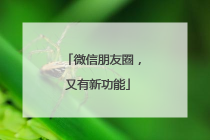 微信朋友圈，又有新功能