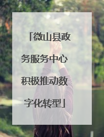 微山县政务服务中心积极推动数字化转型