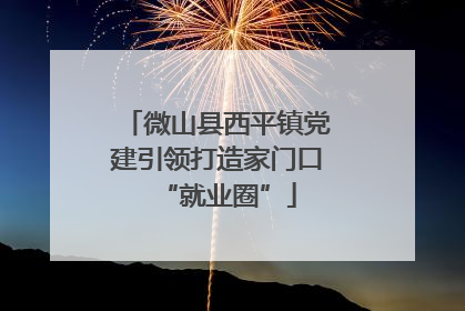 微山县西平镇党建引领打造家门口“就业圈”