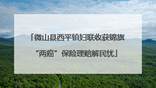 微山县西平镇妇联收获锦旗 “两癌”保险理赔解民忧