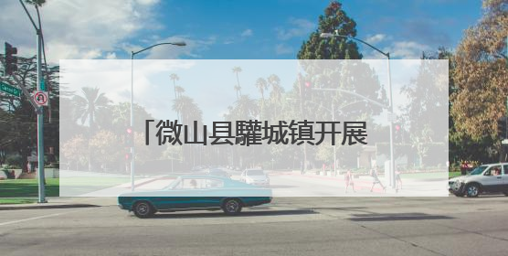 微山县驩城镇开展联合安全检查行动