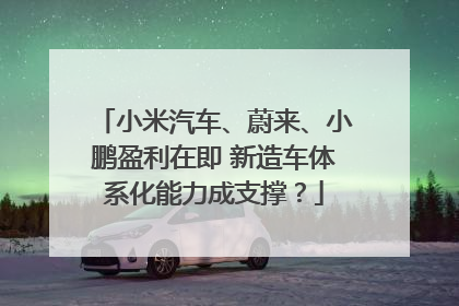 小米汽车、蔚来、小鹏盈利在即 新造车体系化能力成支撑？