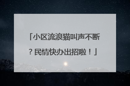 小区流浪猫叫声不断？民情快办出招啦！