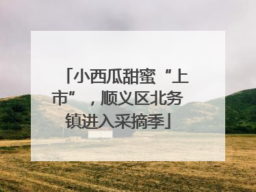 小西瓜甜蜜“上市”，顺义区北务镇进入采摘季