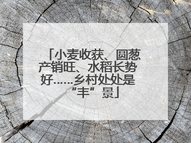小麦收获、圆葱产销旺、水稻长势好……乡村处处是“丰”景