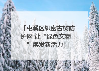 屯溪区织密古树防护网 让“绿色文物”焕发新活力